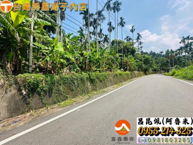 嘉義農地-2