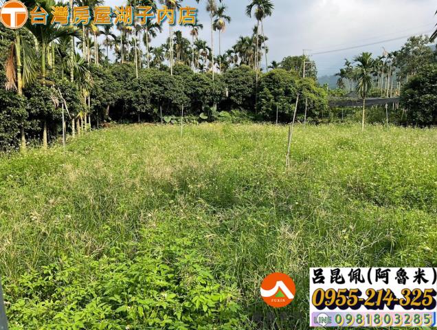 嘉義農地-1