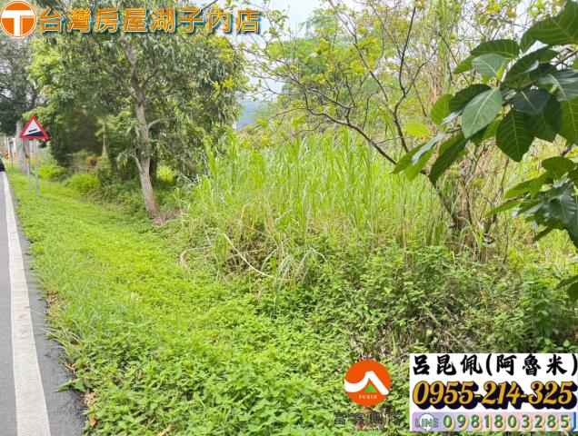 嘉義農地-3