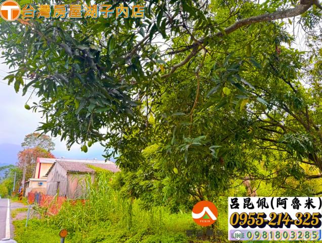嘉義農地-4