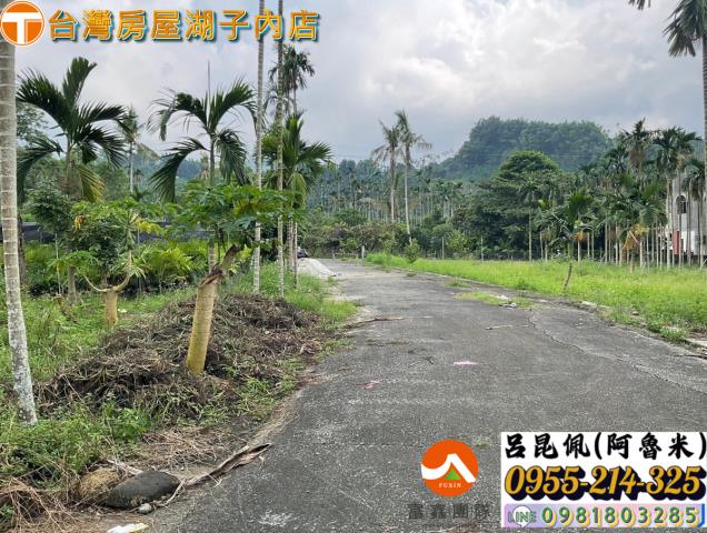 嘉義農地-3
