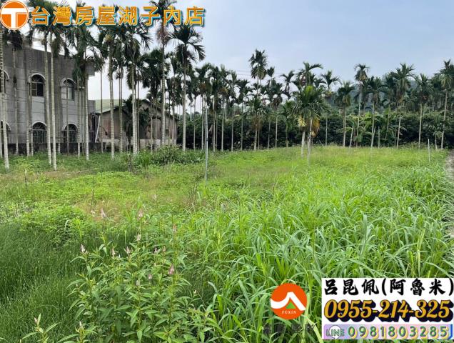 嘉義農地-5