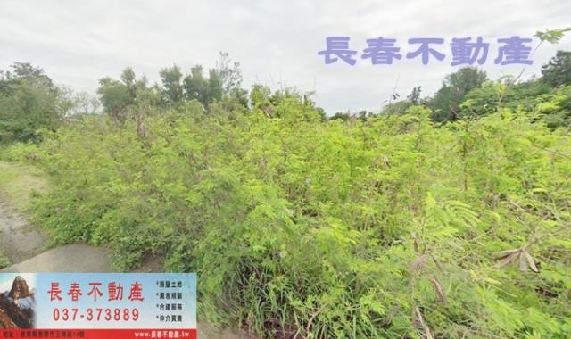 8E369後龍投資美農地