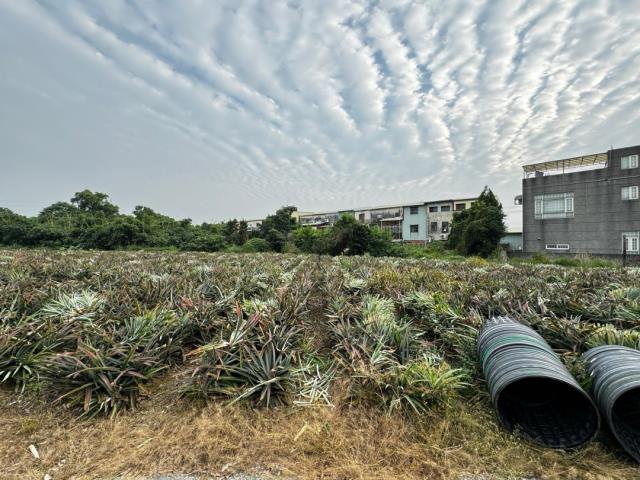 嘉義竹崎農地-0