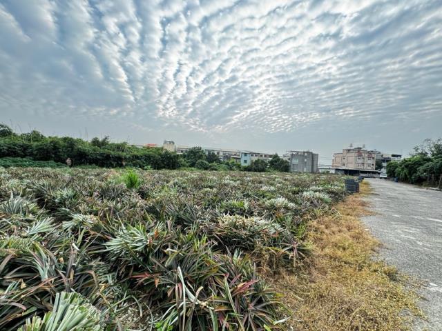 嘉義竹崎農地-1