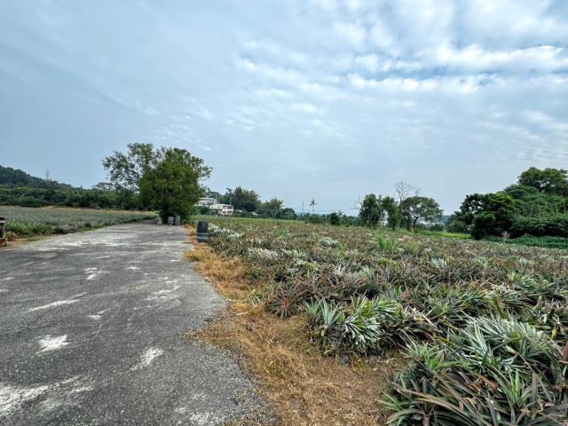 嘉義竹崎農地-5