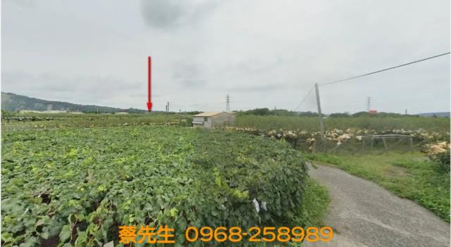 卓蘭新厝里農舍地興建農舍種植農作物