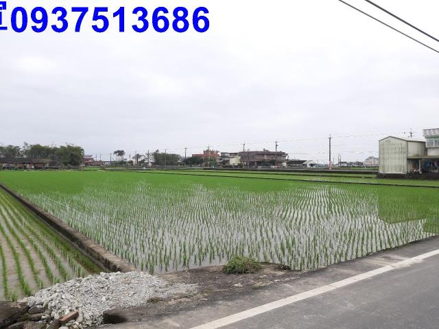 宜蘭礁溪農地-2