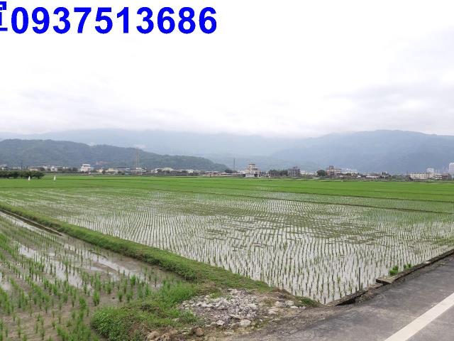 宜蘭礁溪農地-4