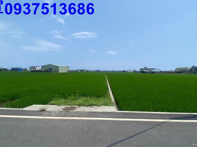 宜蘭壯圍農地-6