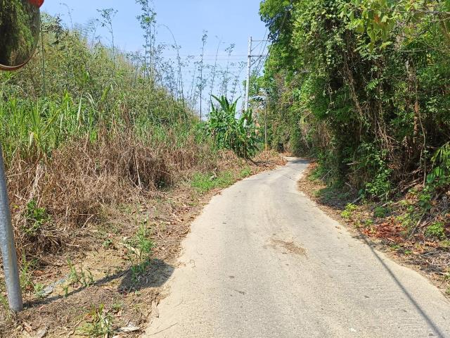 左鎮農地-3