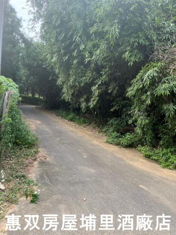 南投埔里農地-2