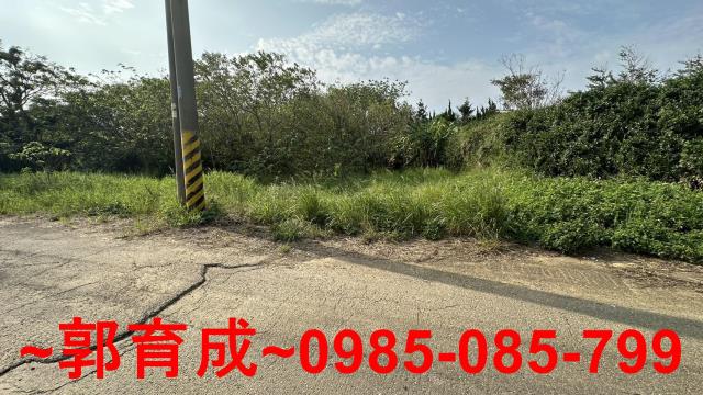 湖口農地-1