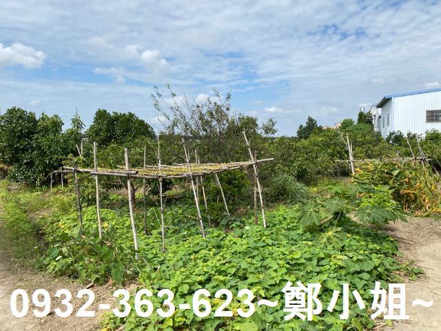 桃園桃園區農地-3
