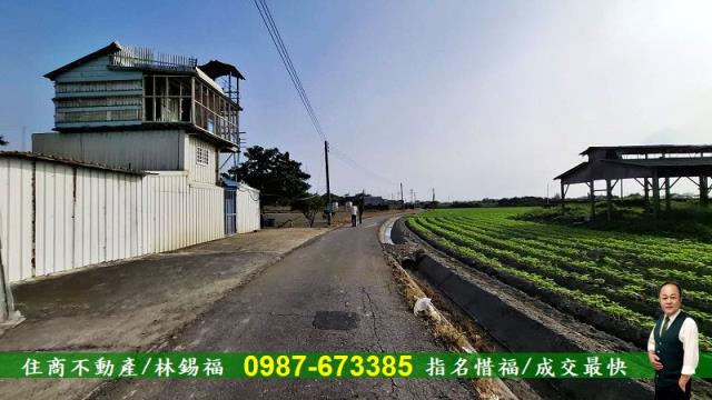 台南佳里農地-6