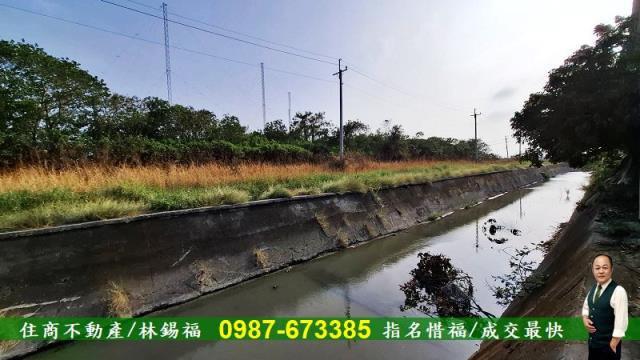 台南佳里農地-8