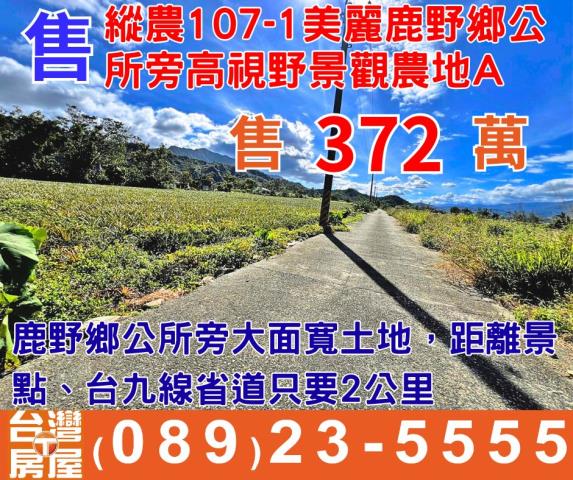 鹿野鄉公所高視野
