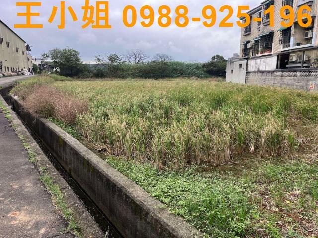 中壢農地-3