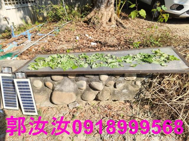 台南白河農地-4