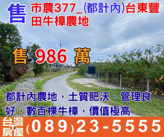 台東市農地-0