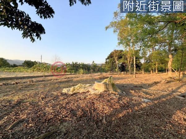 台南農地-0