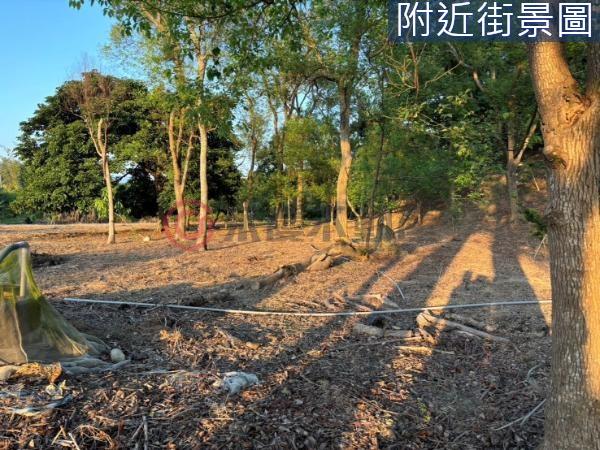 台南農地-2