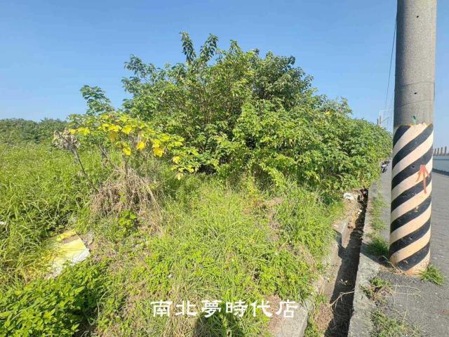 南區農地-7