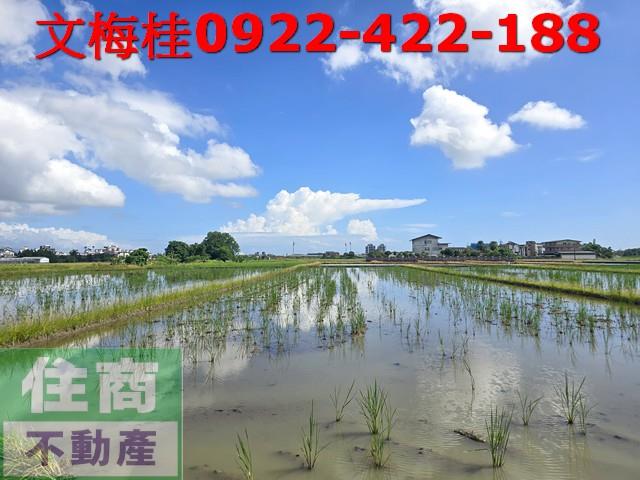 宜蘭宜蘭市農地-1