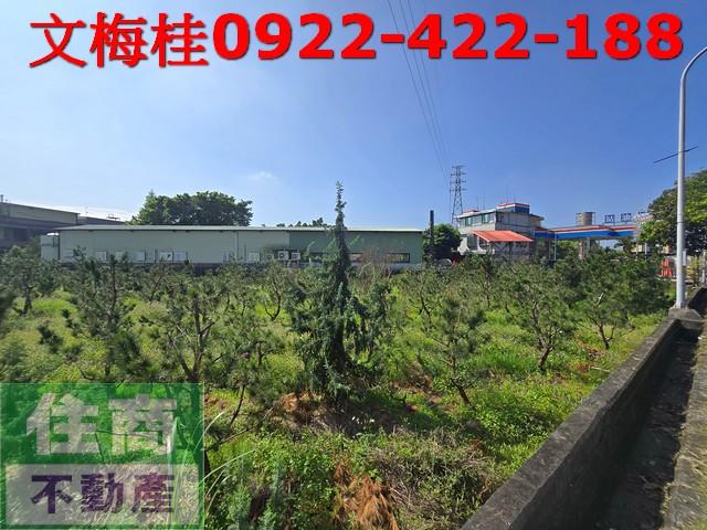 宜蘭頭城農地-4