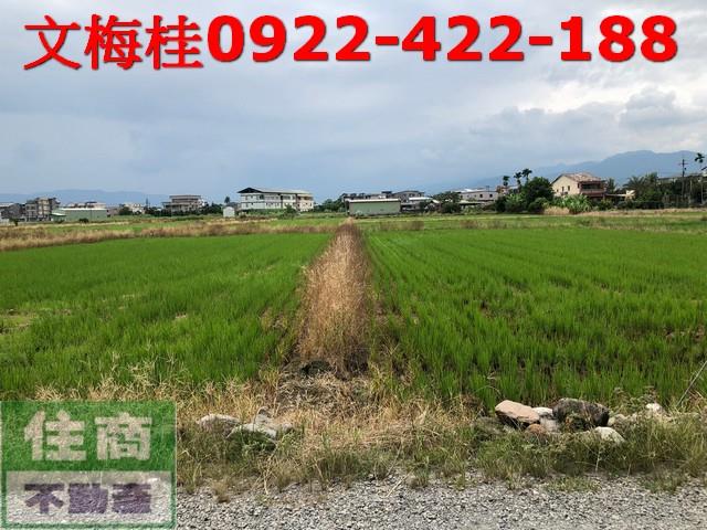 宜蘭宜蘭市農地-3