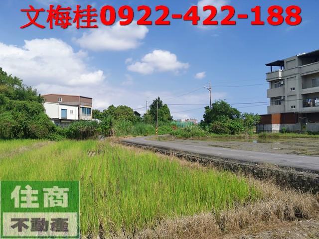 宜蘭宜蘭市農地-5