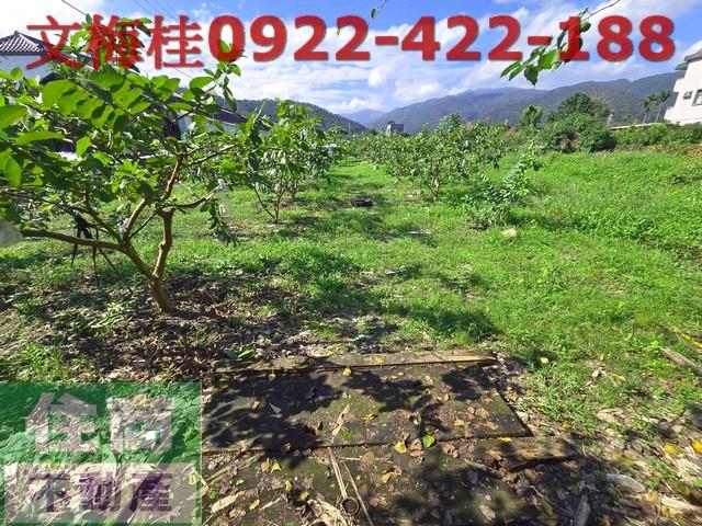 宜蘭土地宜蘭農地員山農地礁溪農地