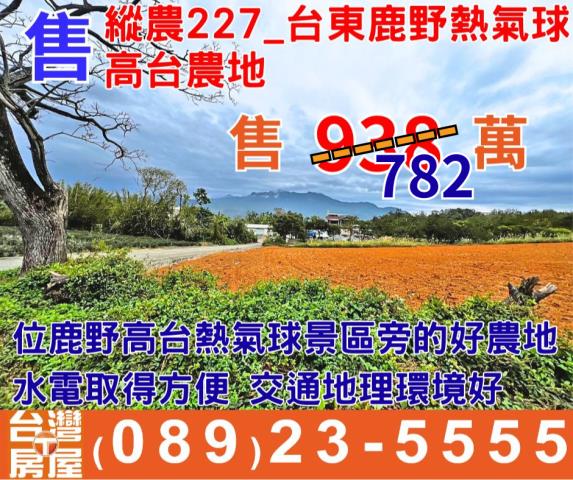 鹿野高台熱氣球紅烏龍