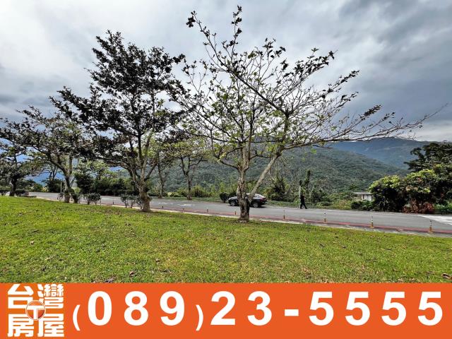 鹿野紅烏龍