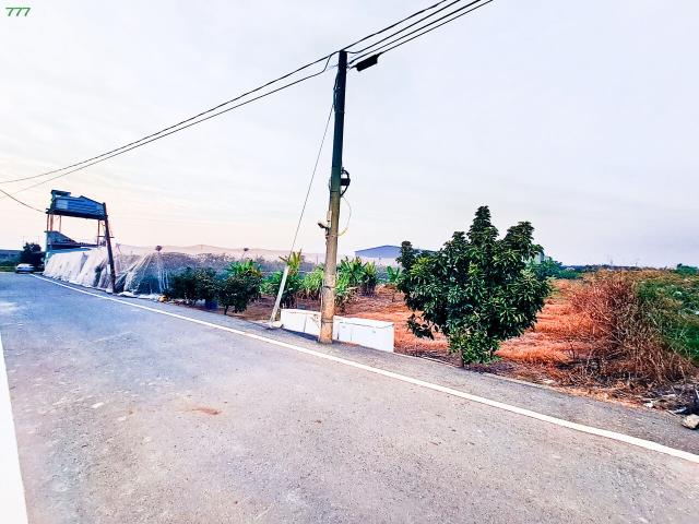 岡山農地-7