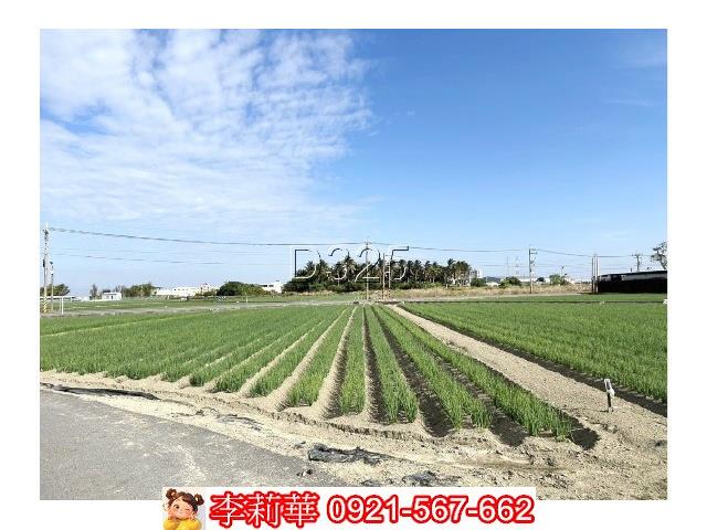 台南安南農地-9