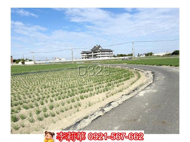 台南安南農地-7