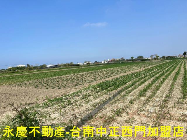 台南將軍農地-2