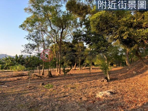 台南楠西農地-6