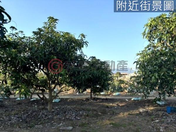 台南楠西農地-6