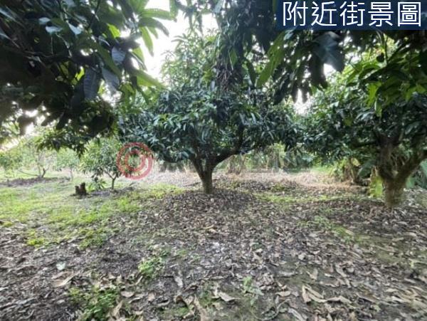 台南楠西農地-8