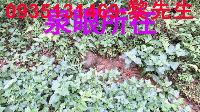 苗栗三灣農地-13