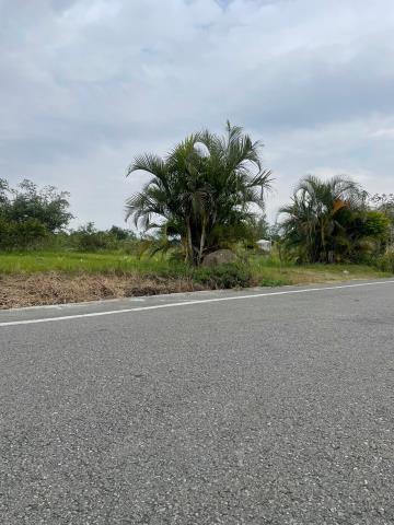 中埔農地-1