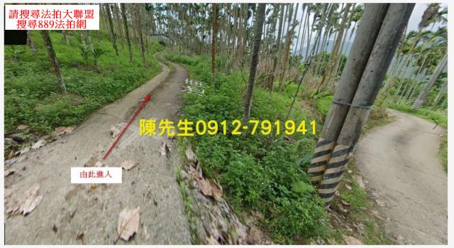 壽豐法拍壽豐農地壽豐土地