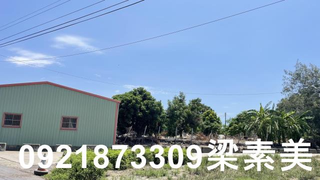 學甲農地-8