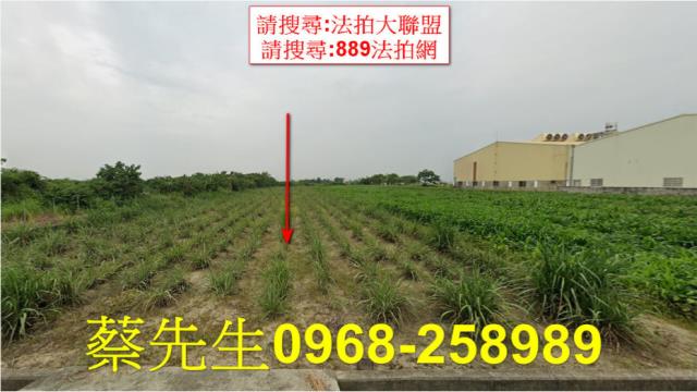 六腳更寮農地種植農作物果樹