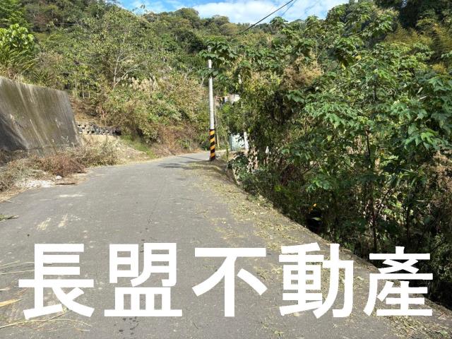 台中山坡地-9