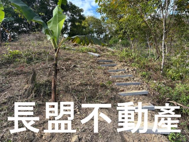 台中山坡地-1