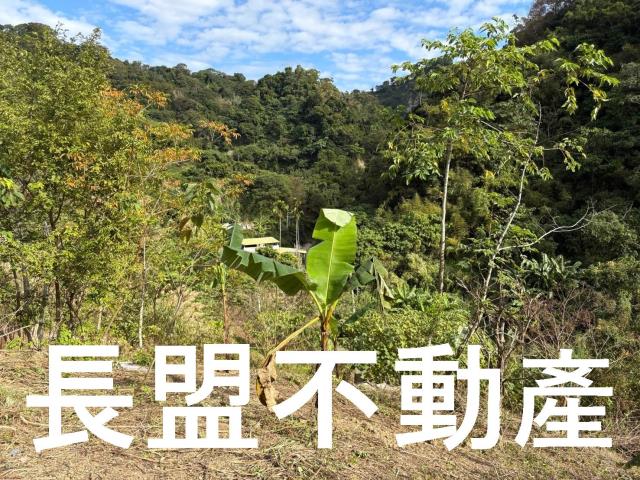 台中山坡地-2