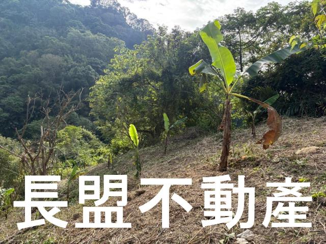 台中山坡地-3